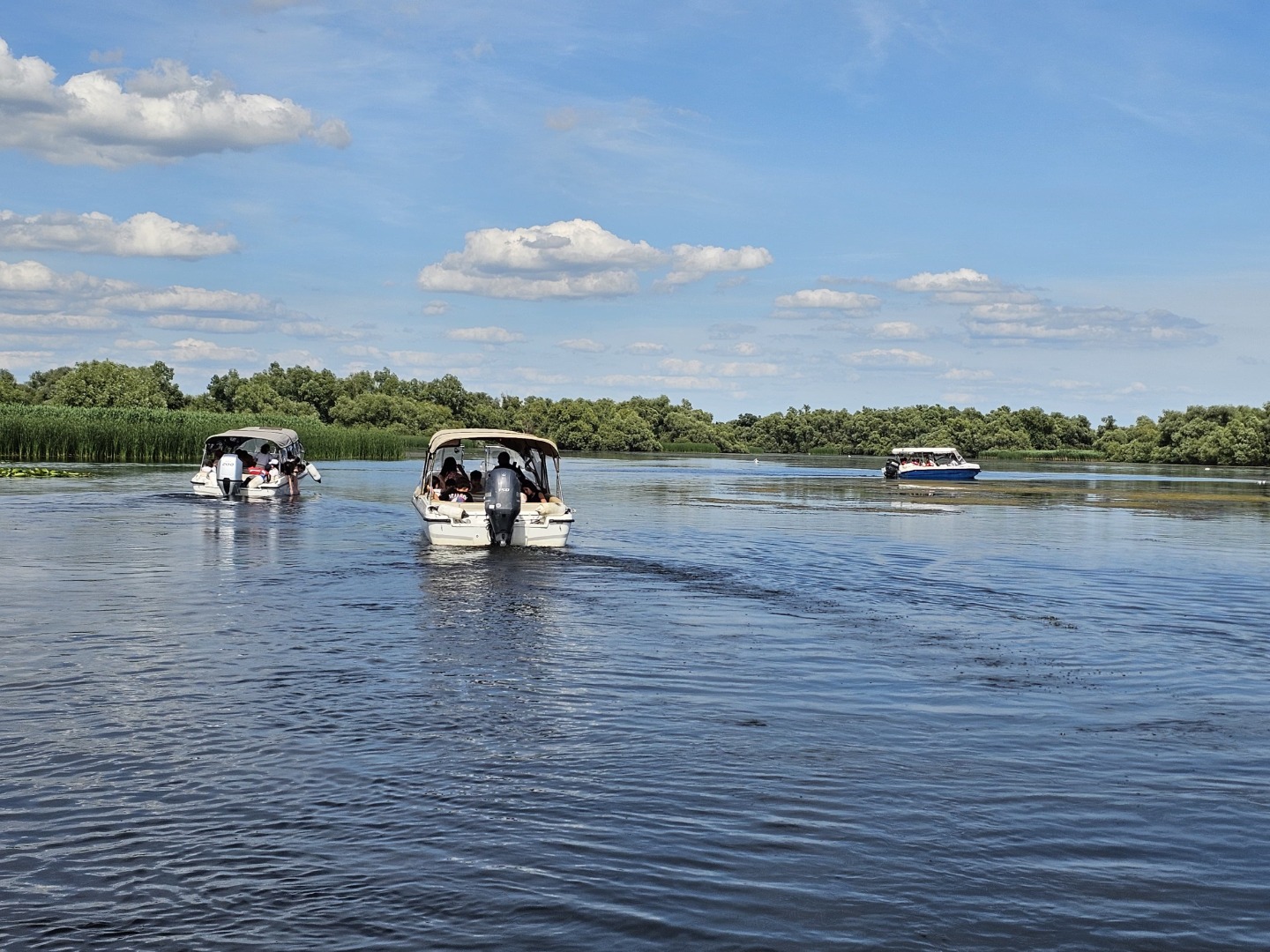 Barci pe lac