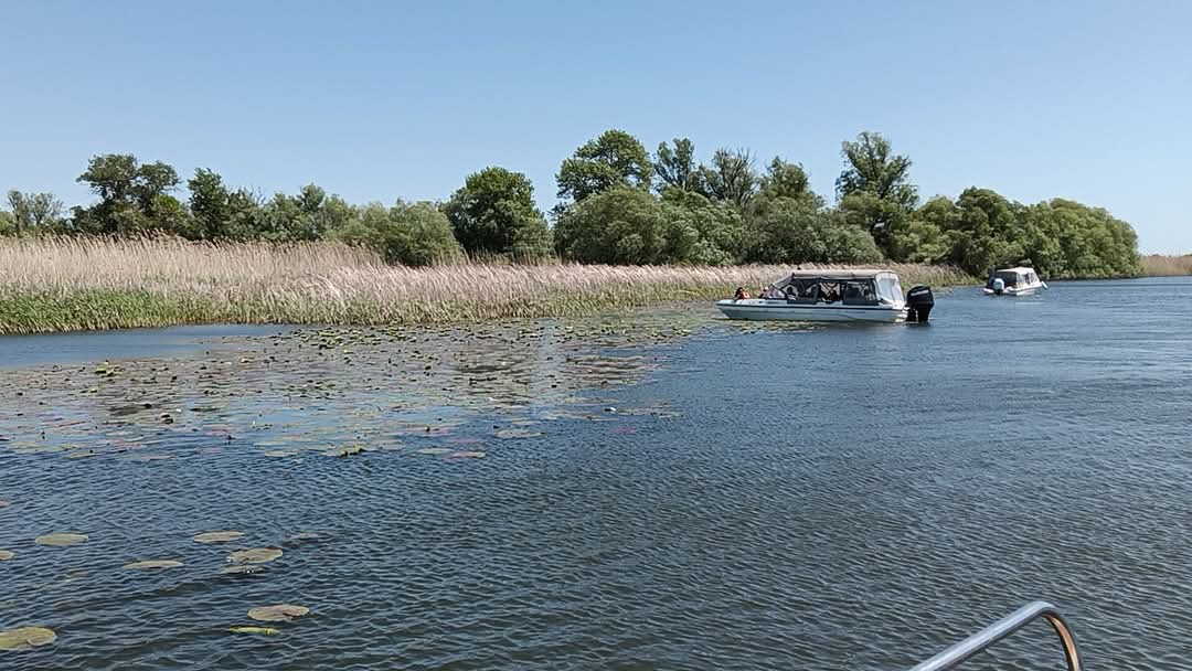 Barca cu turisti admira nuferii